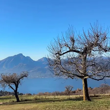 La Paloma San Zeno *