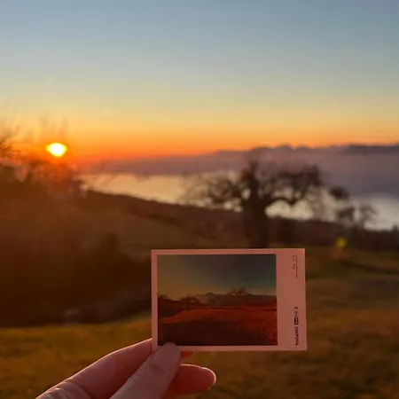 La Paloma San Zeno Pai