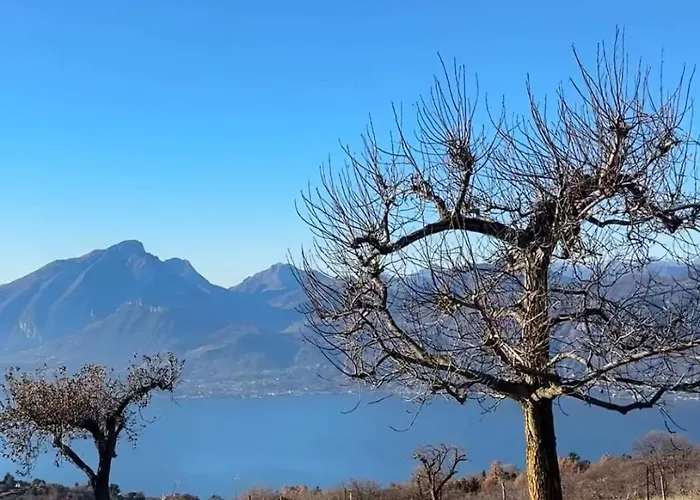 La Paloma San Zeno *